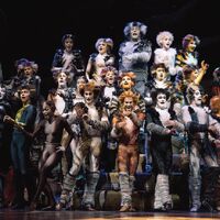 Jellicle Songs For Jellicle Cats Cats Musical Wiki Fandom