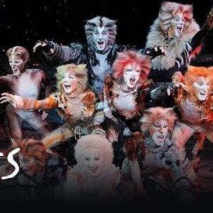 Jellicle Songs For Jellicle Cats Cats Musical Wiki Fandom