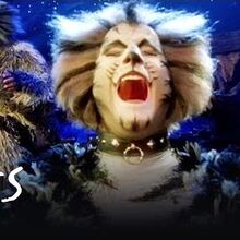 The Awefull Battle Of The Pekes And The Pollicles Cats Musical Wiki Fandom