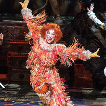 Japan 1983 Gallery 2018 Cats Musical Wiki Fandom