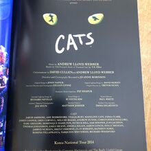 Asia Tour 2014 Cast List References Cats Musical Wiki Fandom