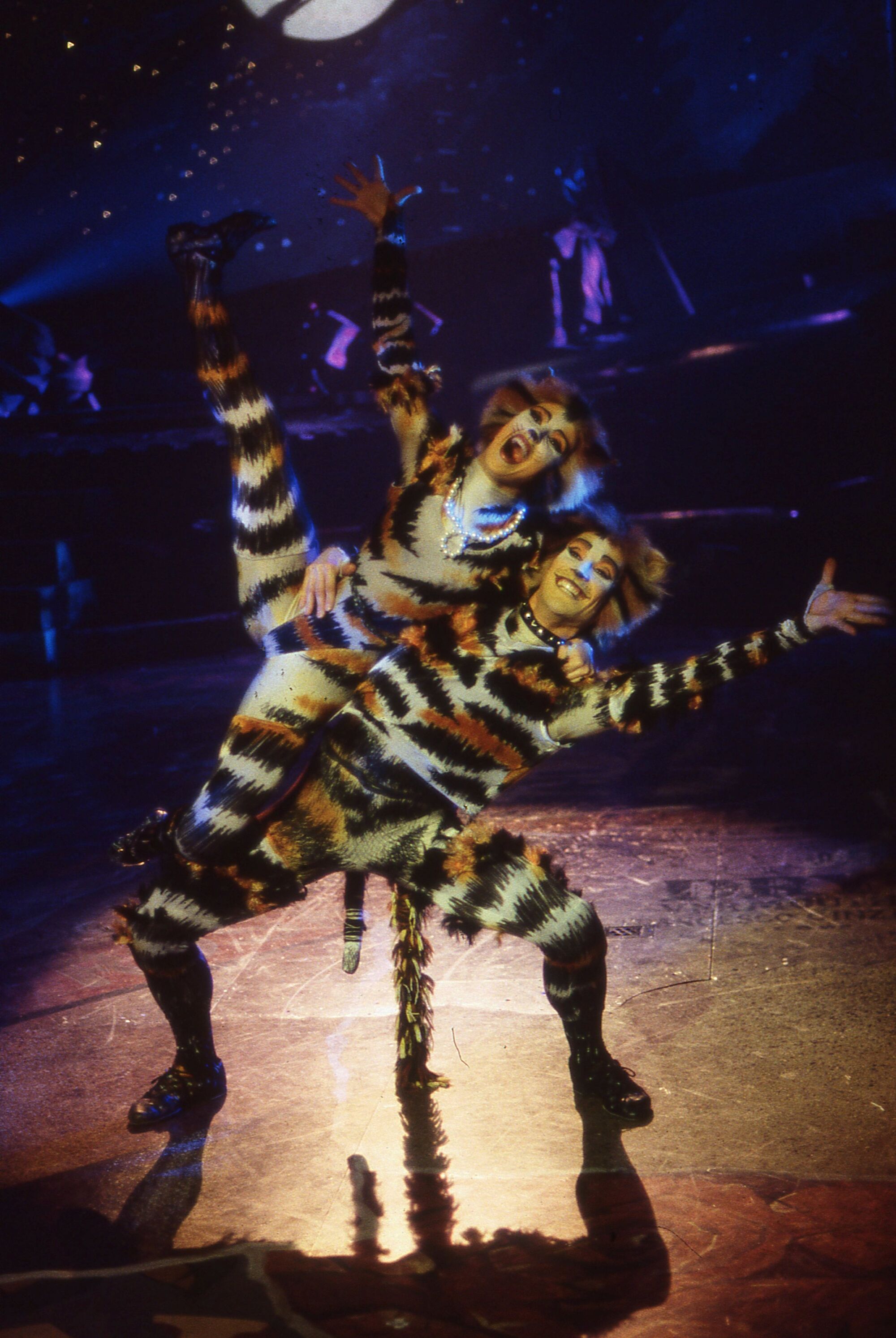 Category:Mungojerrie actor | 'Cats' Musical Wiki | Fandom2000 x 2987
