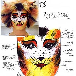 Makeup Designs References Cats Musical Wiki Fandom