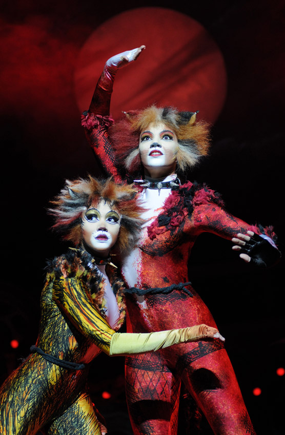 Macavity the Mystery Cat (Song) | 'Cats' Musical Wiki | Fandom