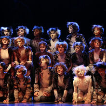 The Naming Of Cats Cats Musical Wiki Fandom