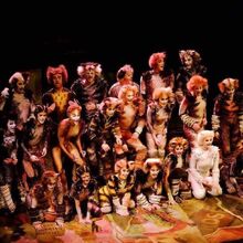 The Naming Of Cats Cats Musical Wiki Fandom