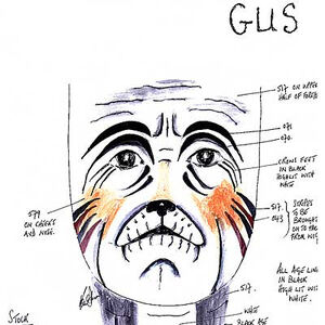 Makeup Designs References Cats Musical Wiki Fandom