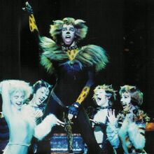 Uk Tour 2003 2009 Cats Musical Wiki Fandom