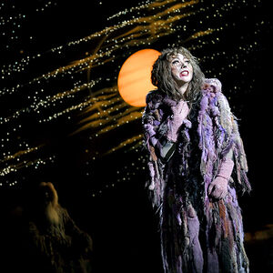 Shiki Cats Japan Cats Musical Wiki Fandom