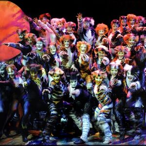 Uk Tour 2003 2009 Cats Musical Wiki Fandom