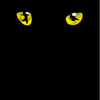 Us Tour 3 Cats Musical Wiki Fandom