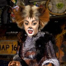 Grizabella Cats Musical Wiki Fandom