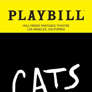 Us Tour 6 Cast List References Cats Musical Wiki Fandom