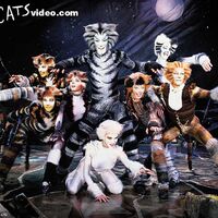 Cats 1998 Film Cats Musical Wiki Fandom