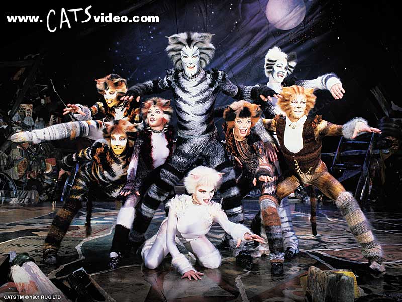 The 1998 Cats Film Cats The Musical Cats Musical Musicals Jellicle Cats
