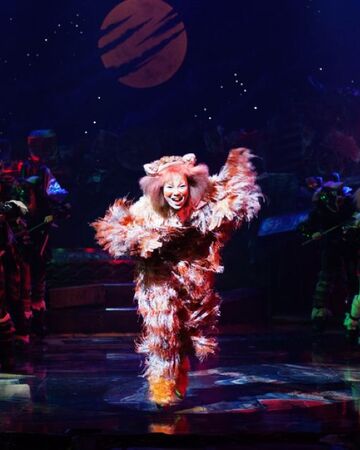 The Old Gumbie Cat Chinese Cats Musical Wiki Fandom