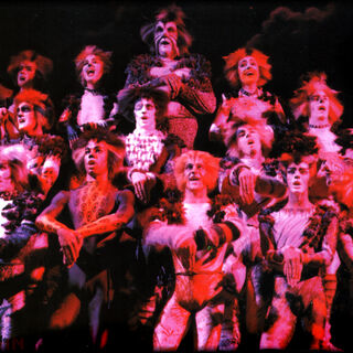 UK Tour 1989 | 'Cats' Musical Wiki | FANDOM powered by Wikia