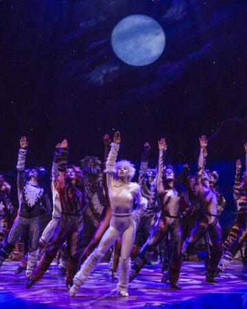 Jellicle Ball Cats Musical Wiki Fandom