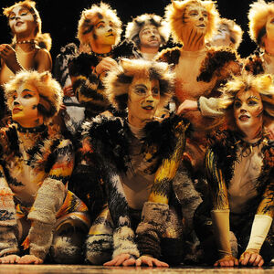 The Naming Of Cats Cats Musical Wiki Fandom