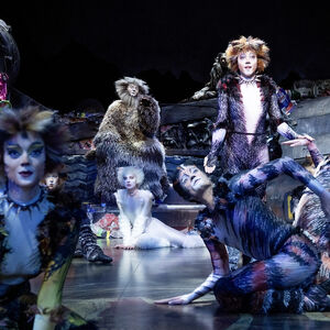 The Moments Of Happiness Cats Musical Wiki Fandom