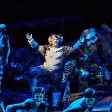 Uk Tour 2016 Gallery 2017 Cats Musical Wiki Fandom
