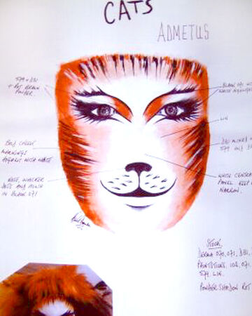 Makeup Designs References Cats Musical Wiki Fandom