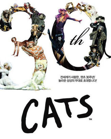 South Korea 2011 Cats Musical Wiki Fandom