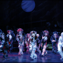 Jellicle Songs For Jellicle Cats Cats Musical Wiki Fandom