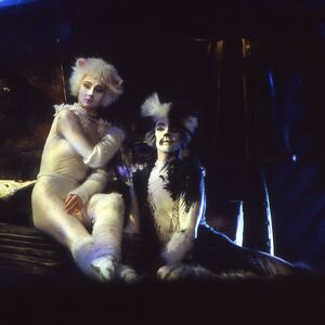 Jason Gardiner Cats Musical Wiki Fandom