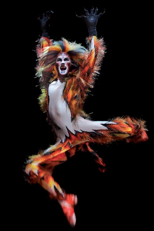 Macavity | 'Cats' Musical Wiki | FANDOM powered by Wikia