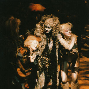 Amsterdam 1987 Cats Musical Wiki Fandom