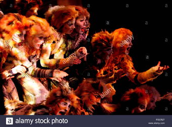 Us Tour 5 Troika Cats Musical Wiki Fandom