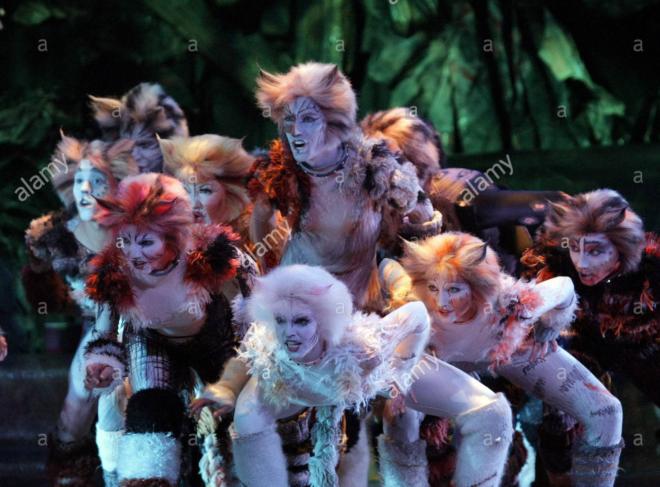 Us Tour 5 Troika Cats Musical Wiki Fandom
