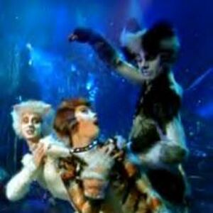 Jason Gardiner Cats Musical Wiki Fandom
