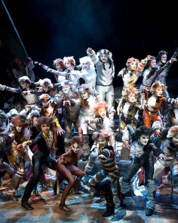 Jellicle Cats Cats Musical Wiki Fandom