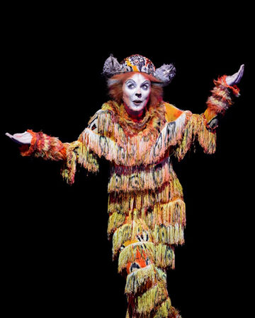 Jennyanydots Cats Musical Wiki Fandom