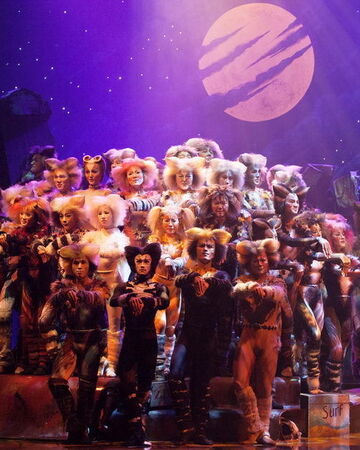 Jellicle Songs For Jellicle Cats Chinese Cats Musical Wiki