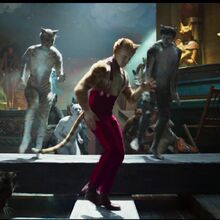 We Ranked The Cats In Cats By How Much They Acted Like Actual Cats