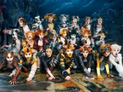 Category The Naming Of Cats Lyrics Cats Musical Wiki Fandom