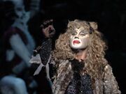 Category Memory Lyrics Cats Musical Wiki Fandom