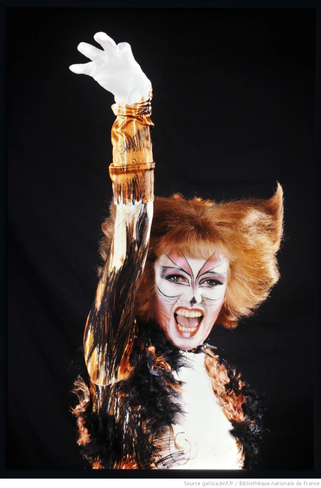 CategoryEuro Tour Cast 'Cats' Musical Wiki Fandom