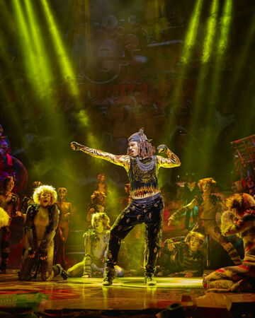 The Rum Tum Tugger Rap Song Cats Musical Wiki Fandom