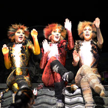 Uk Tour 2013 Gallery 2014 Cats Musical Wiki Fandom