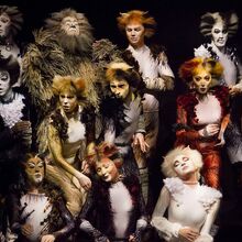 Uk Tour 2013 Gallery 2014 Cats Musical Wiki Fandom