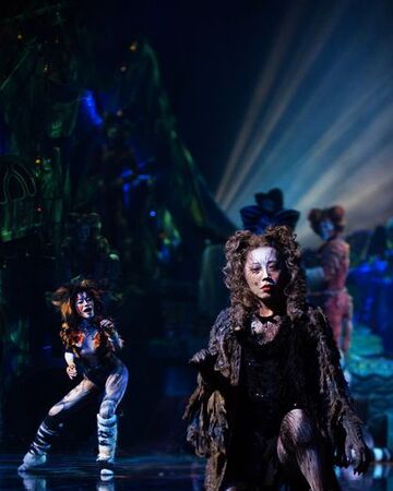 Grizabella The Glamour Cat Song Chinese Cats Musical Wiki