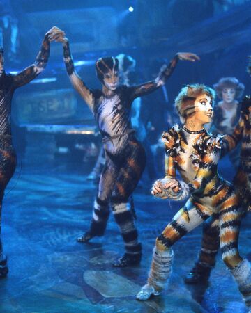 The Song Of The Jellicles Cats Musical Wiki Fandom