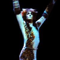 Admetus Cats Musical Wiki Fandom