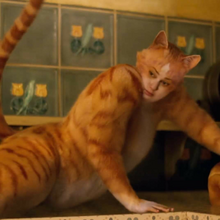 Movie Wallpaper Cats Movie Kitchen Scene