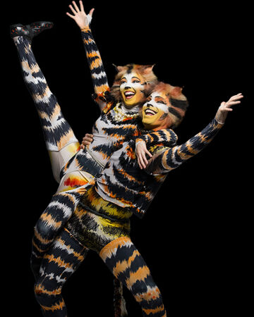 Rumpleteazer Cats Musical Wiki Fandom