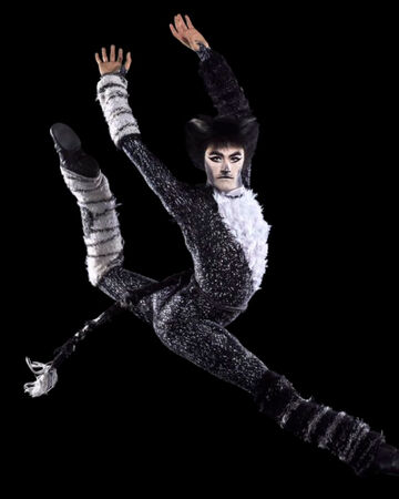 Mistoffelees Cats Musical Wiki Fandom